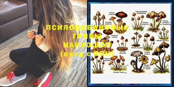 ПСИЛОЦИБИНОВЫЕ ГРИБЫ Сосновоборск