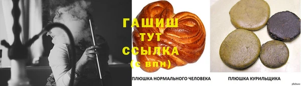 стаф Белокуриха
