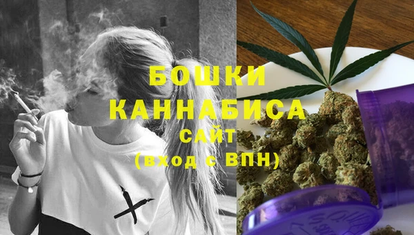 стаф Белокуриха