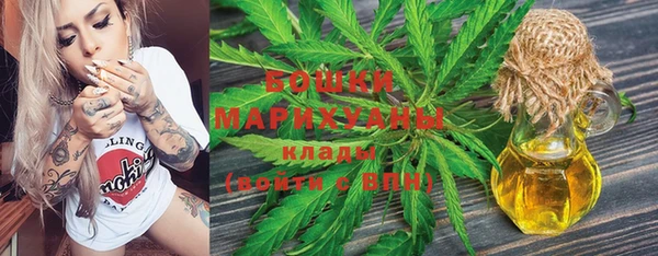 стаф Белокуриха