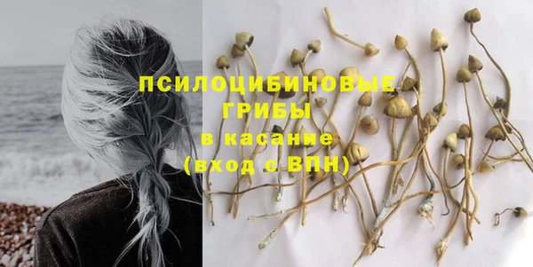 стаф Белокуриха