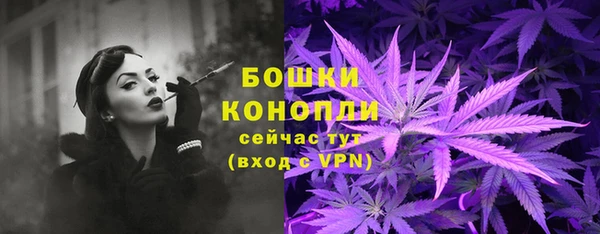 стаф Белокуриха