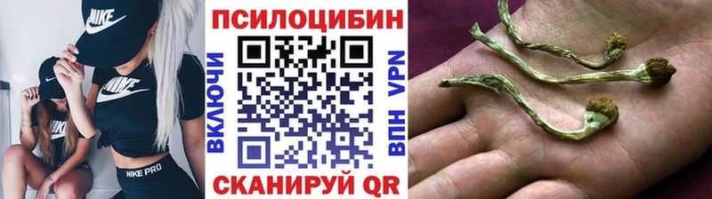 купить сайты блэк спрут маркетплейс Псилоцибиновые грибы Psilocybine cubensis Мценск